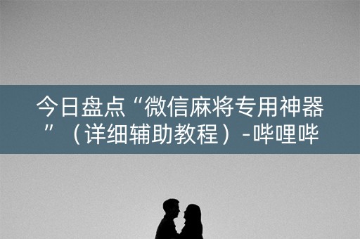 今日盘点“微信麻将专用神器”（详细辅助教程）-哔哩哔哩