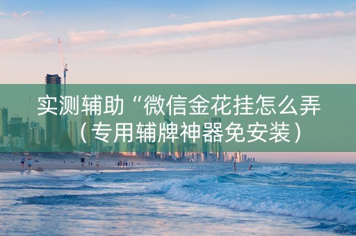 实测辅助“微信金花挂怎么弄（专用辅牌神器免安装）