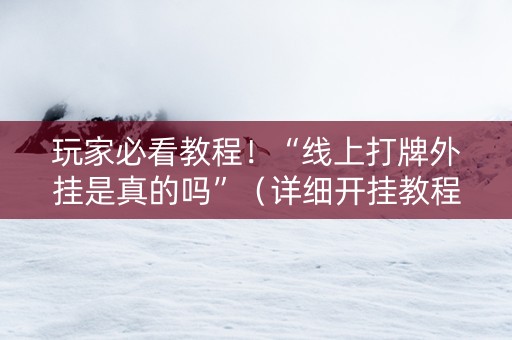 玩家必看教程！“线上打牌外挂是真的吗”（详细开挂教程）-哔哩哔哩