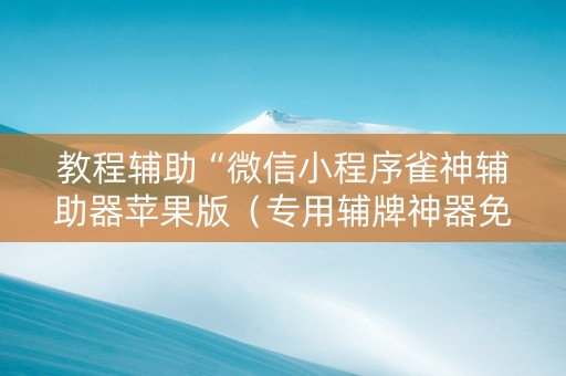 教程辅助“微信小程序雀神辅助器苹果版（专用辅牌神器免安装）