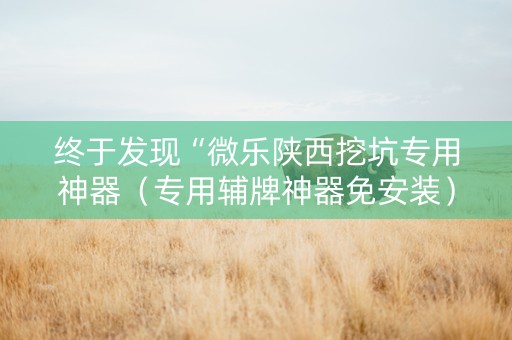 终于发现“微乐陕西挖坑专用神器（专用辅牌神器免安装）