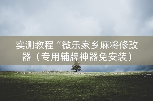 实测教程“微乐家乡麻将修改器（专用辅牌神器免安装）