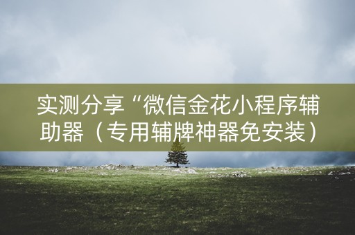 实测分享“微信金花小程序辅助器（专用辅牌神器免安装）