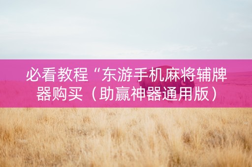 必看教程“东游手机麻将辅牌器购买（助赢神器通用版）