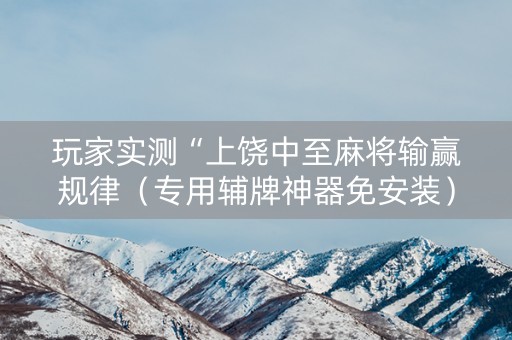 玩家实测“上饶中至麻将输赢规律（专用辅牌神器免安装）
