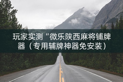 玩家实测“微乐陕西麻将铺牌器（专用辅牌神器免安装）