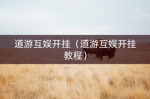 道游互娱开挂（道游互娱开挂教程）