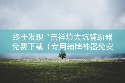 终于发现“吉祥填大坑辅助器免费下载（专用辅牌神器免安装）