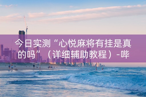 今日实测“心悦麻将有挂是真的吗”（详细辅助教程）-哔哩哔哩