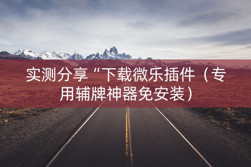 实测分享“下载微乐插件（专用辅牌神器免安装）