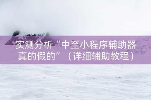 实测分析“中至小程序辅助器真的假的”（详细辅助教程）-哔哩哔哩