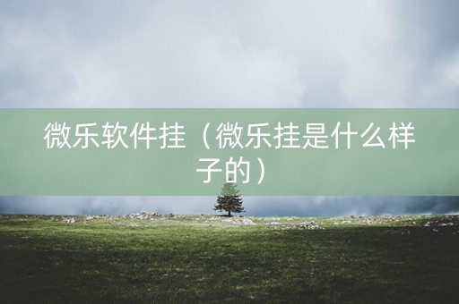 微乐软件挂（微乐挂是什么样子的）