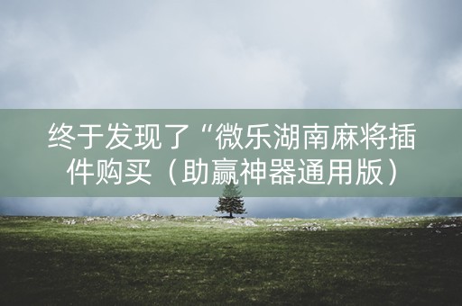 终于发现了“微乐湖南麻将插件购买（助赢神器通用版）
