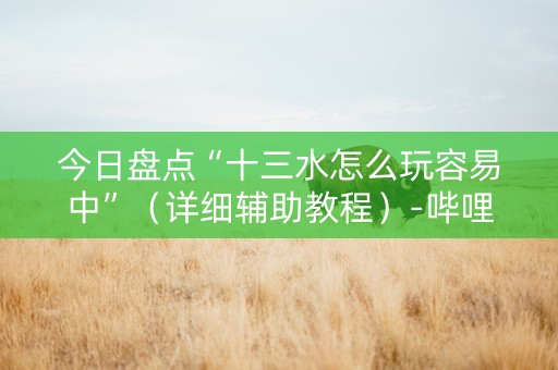 今日盘点“十三水怎么玩容易中”（详细辅助教程）-哔哩哔哩