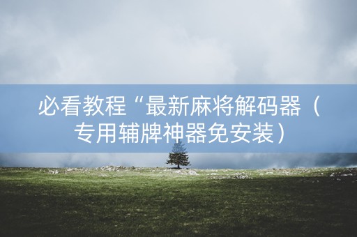 必看教程“最新麻将解码器（专用辅牌神器免安装）
