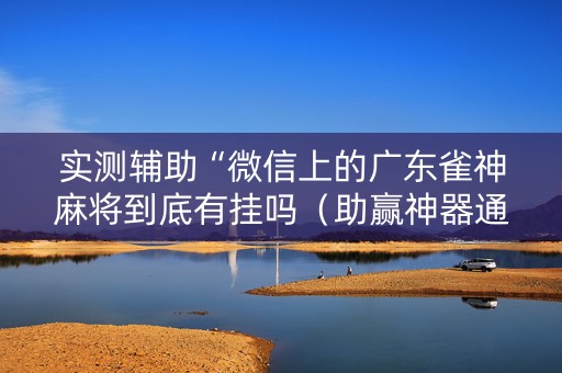 实测辅助“微信上的广东雀神麻将到底有挂吗（助赢神器通用版）