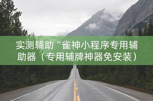 实测辅助“雀神小程序专用辅助器（专用辅牌神器免安装）