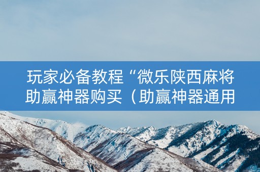 玩家必备教程“微乐陕西麻将助赢神器购买（助赢神器通用版）