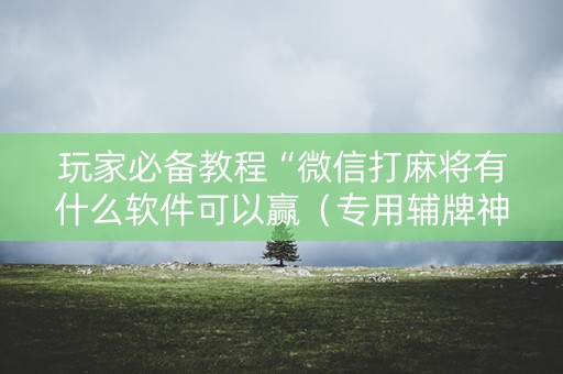 玩家必备教程“微信打麻将有什么软件可以赢（专用辅牌神器免安装）