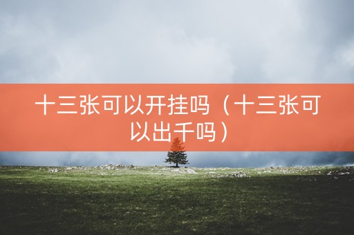 十三张可以开挂吗（十三张可以出千吗）