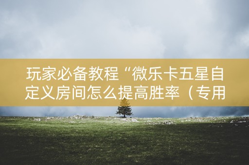 玩家必备教程“微乐卡五星自定义房间怎么提高胜率（专用辅牌神器免安装）