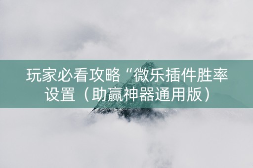 玩家必看攻略“微乐插件胜率设置（助赢神器通用版）