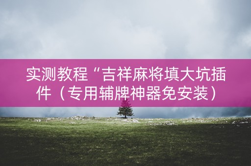 实测教程“吉祥麻将填大坑插件（专用辅牌神器免安装）