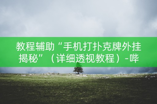 教程辅助“手机打扑克牌外挂揭秘”（详细透视教程）-哔哩哔哩