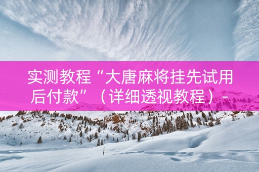 实测教程“大唐麻将挂先试用后付款”（详细透视教程）-哔哩哔哩