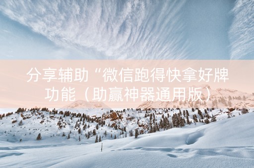 分享辅助“微信跑得快拿好牌功能（助赢神器通用版）