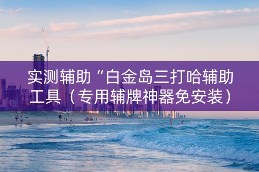 实测辅助“白金岛三打哈辅助工具（专用辅牌神器免安装）
