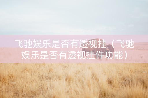 飞驰娱乐是否有透视挂（飞驰娱乐是否有透视挂件功能）