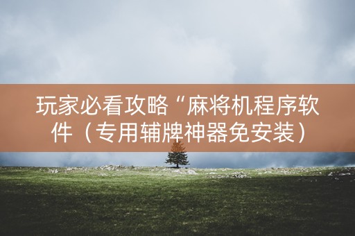玩家必看攻略“麻将机程序软件（专用辅牌神器免安装）