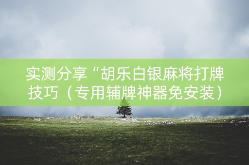 实测分享“胡乐白银麻将打牌技巧（专用辅牌神器免安装）