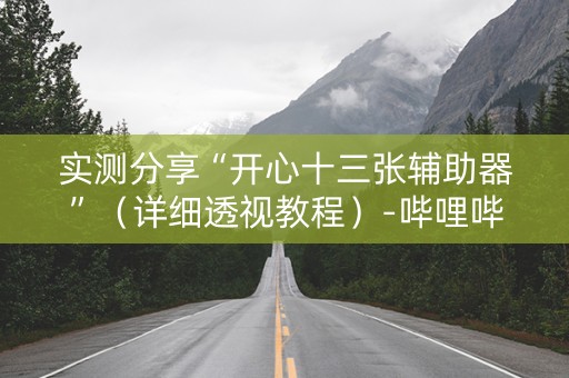 实测分享“开心十三张辅助器”（详细透视教程）-哔哩哔哩