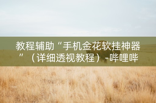 教程辅助“手机金花软挂神器”（详细透视教程）-哔哩哔哩