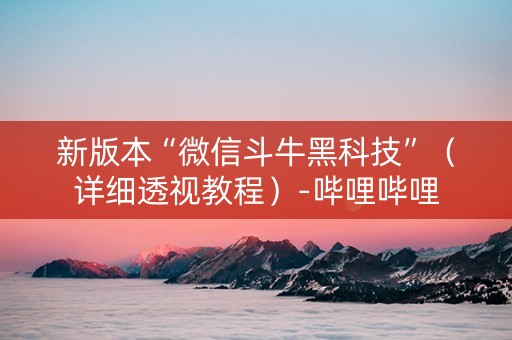 新版本“微信斗牛黑科技”（详细透视教程）-哔哩哔哩