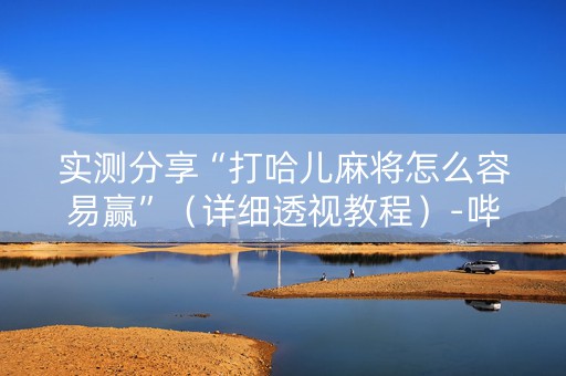 实测分享“打哈儿麻将怎么容易赢”（详细透视教程）-哔哩哔哩