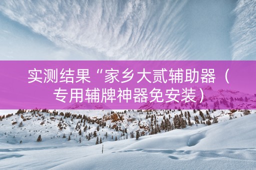实测结果“家乡大贰辅助器（专用辅牌神器免安装）
