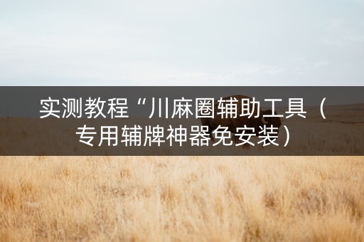 实测教程“川麻圈辅助工具（专用辅牌神器免安装）