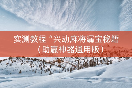 实测教程“兴动麻将漏宝秘籍（助赢神器通用版）
