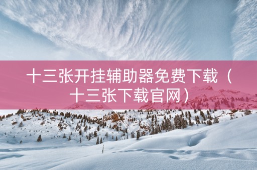 十三张开挂辅助器免费下载（十三张下载官网）
