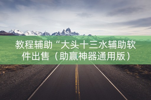 教程辅助“大头十三水辅助软件出售（助赢神器通用版）