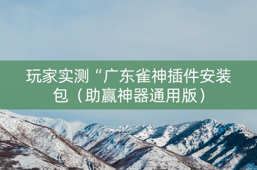 玩家实测“广东雀神插件安装包（助赢神器通用版）