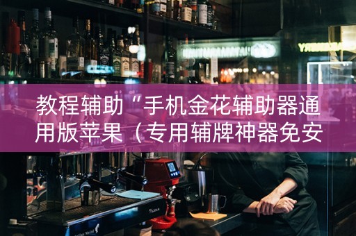 教程辅助“手机金花辅助器通用版苹果（专用辅牌神器免安装）