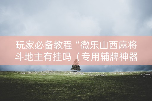 玩家必备教程“微乐山西麻将斗地主有挂吗（专用辅牌神器免安装）
