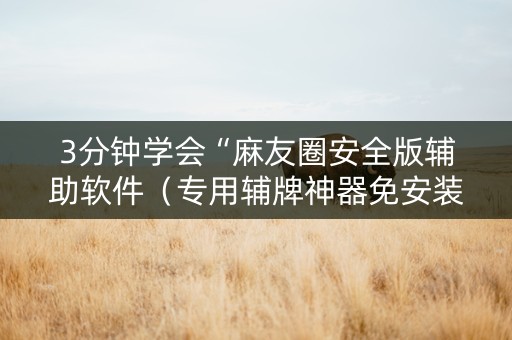 3分钟学会“麻友圈安全版辅助软件（专用辅牌神器免安装）