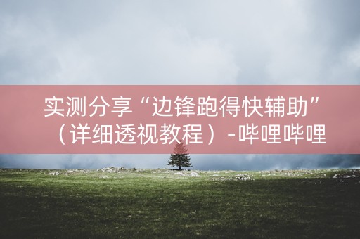 实测分享“边锋跑得快辅助”（详细透视教程）-哔哩哔哩