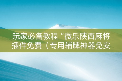 玩家必备教程“微乐陕西麻将插件免费（专用辅牌神器免安装）