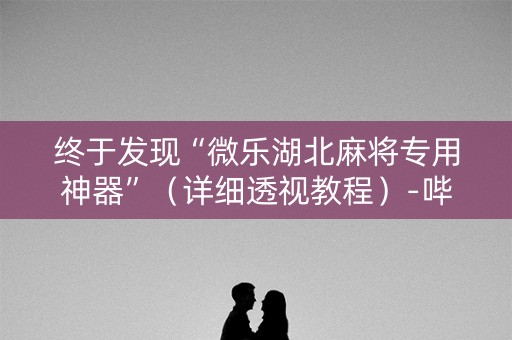 终于发现“微乐湖北麻将专用神器”（详细透视教程）-哔哩哔哩